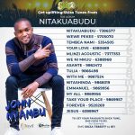 Peter Stixx - Skiza-Tunes---NITAKUABUDU-Album-POSTER-1